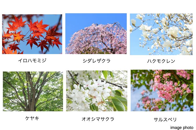 シティタワー銀座東の植栽イメージ画像